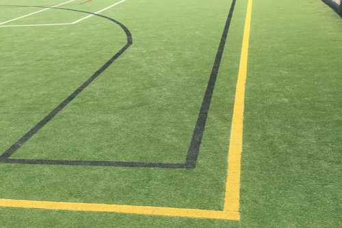 Multi purpose grounds