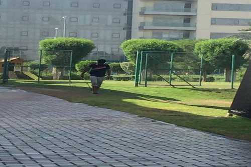 Grass & plant treatment